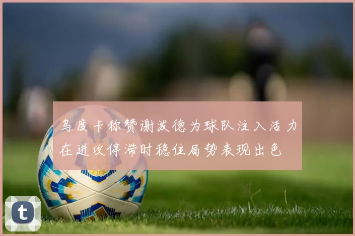 乌度卡称赞谢泼德为球队注入活力在进攻停滞时稳住局势表现出色