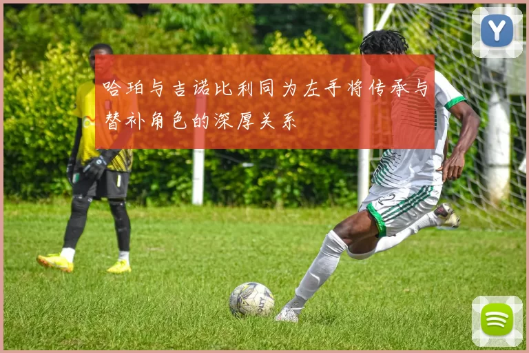 哈珀与吉诺比利同为左手将传承与替补角色的深厚关系