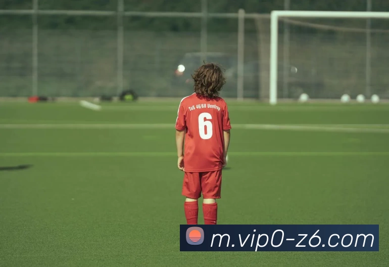 尊龙凯时品牌故事